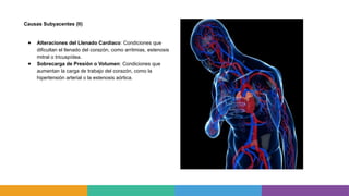 Causas Subyacentes (II)
● Alteraciones del Llenado Cardíaco: Condiciones que
dificultan el llenado del corazón, como arritmias, estenosis
mitral o tricuspídea.
● Sobrecarga de Presión o Volumen: Condiciones que
aumentan la carga de trabajo del corazón, como la
hipertensión arterial o la estenosis aórtica.
 