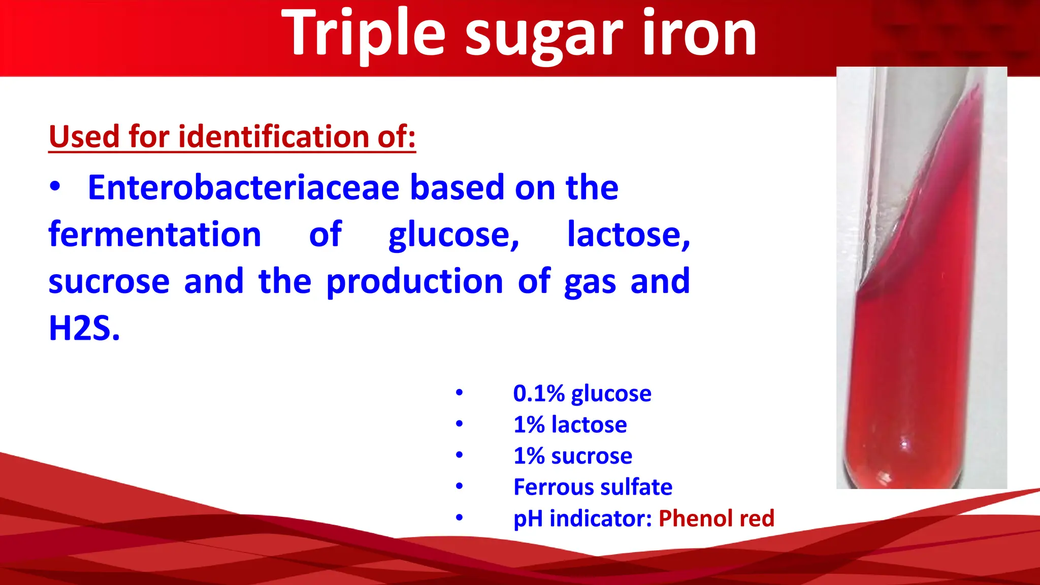 Triple sugar iron
• 0.1% glucose
• 1% lactose
• 1% sucrose
• Ferrous sulfate
• pH indicator: Phenol red
Used for identification of:
• Enterobacteriaceae based on the
fermentation of glucose, lactose,
sucrose and the production of gas and
H2S.
 