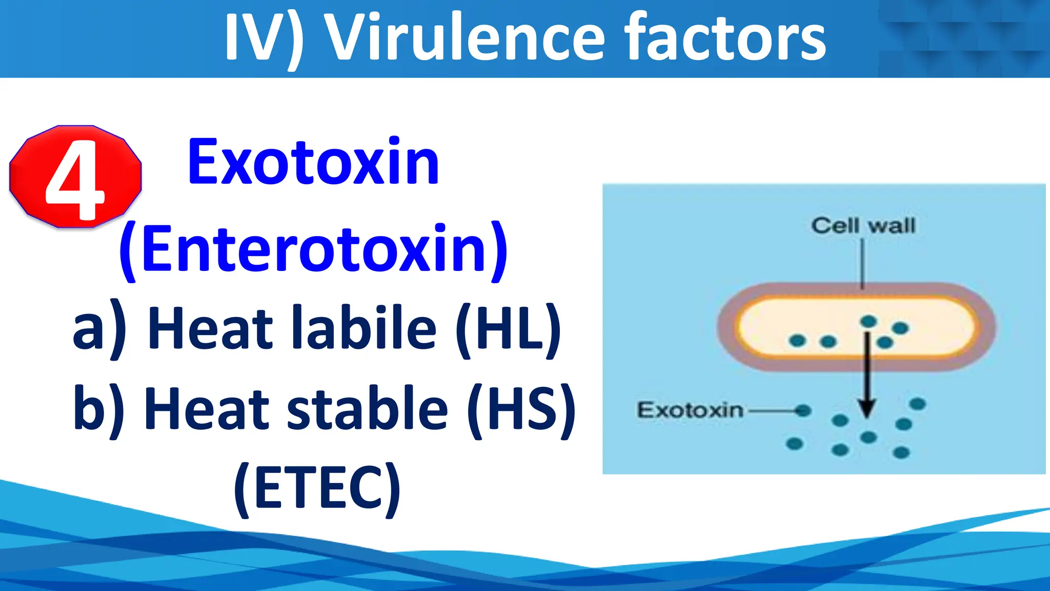 IV) Virulence factors
Exotoxin
(Enterotoxin)
a) Heat labile (HL)
b) Heat stable (HS)
(ETEC)
4
 