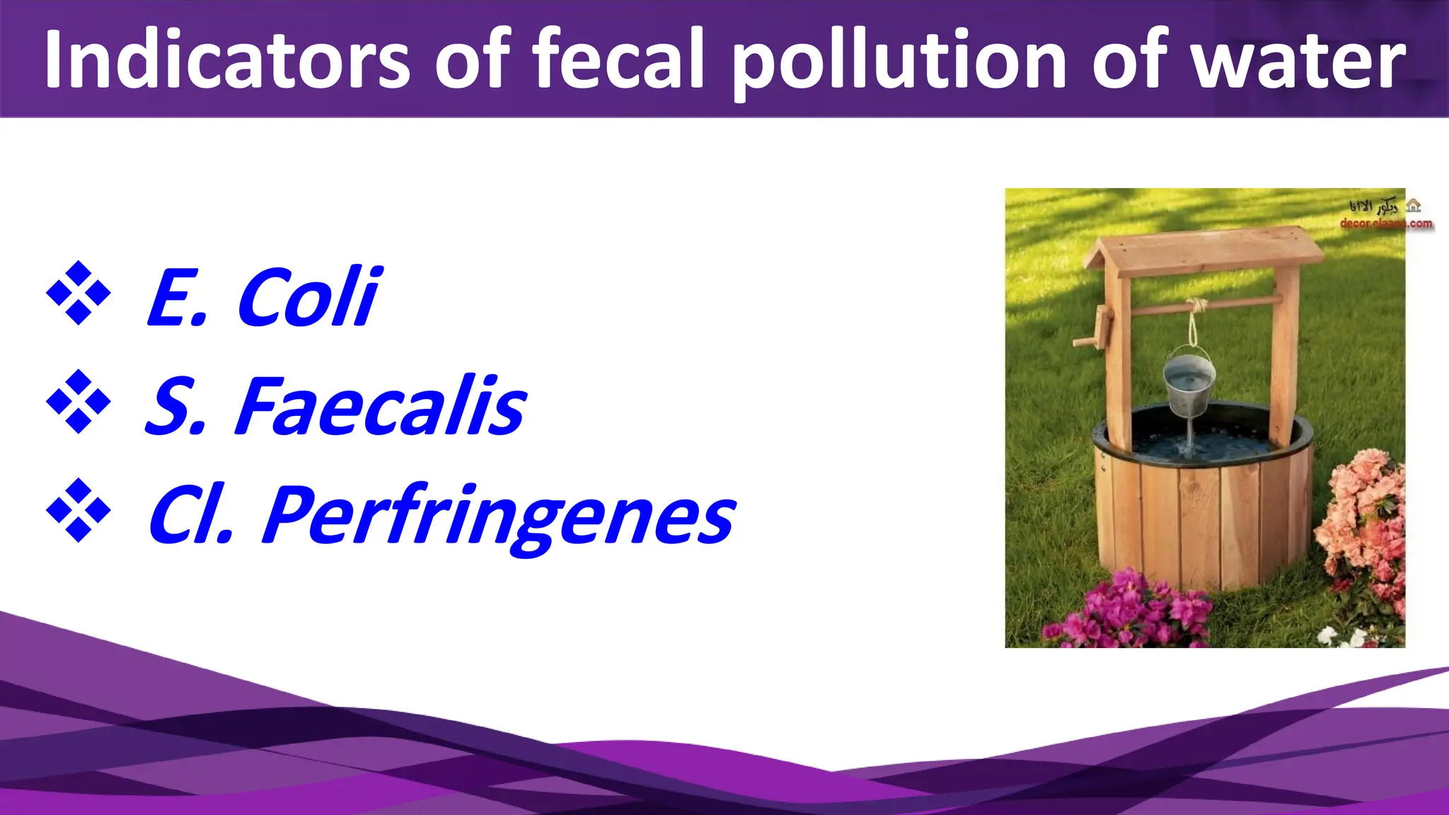 Indicators of fecal pollution of water
❖ E. Coli
❖ S. Faecalis
❖ Cl. Perfringenes
 