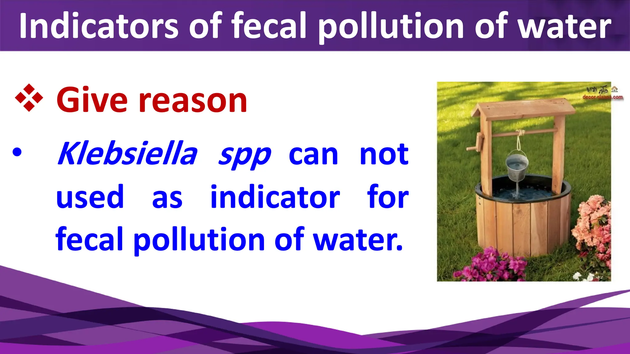 Indicators of fecal pollution of water
❖ Give reason
• Klebsiella spp can not
used as indicator for
fecal pollution of water.
 