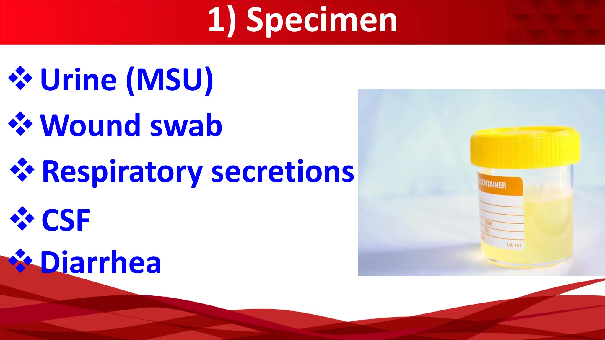 1) Specimen
❖Urine (MSU)
❖Wound swab
❖Respiratory secretions
❖CSF
❖Diarrhea
 