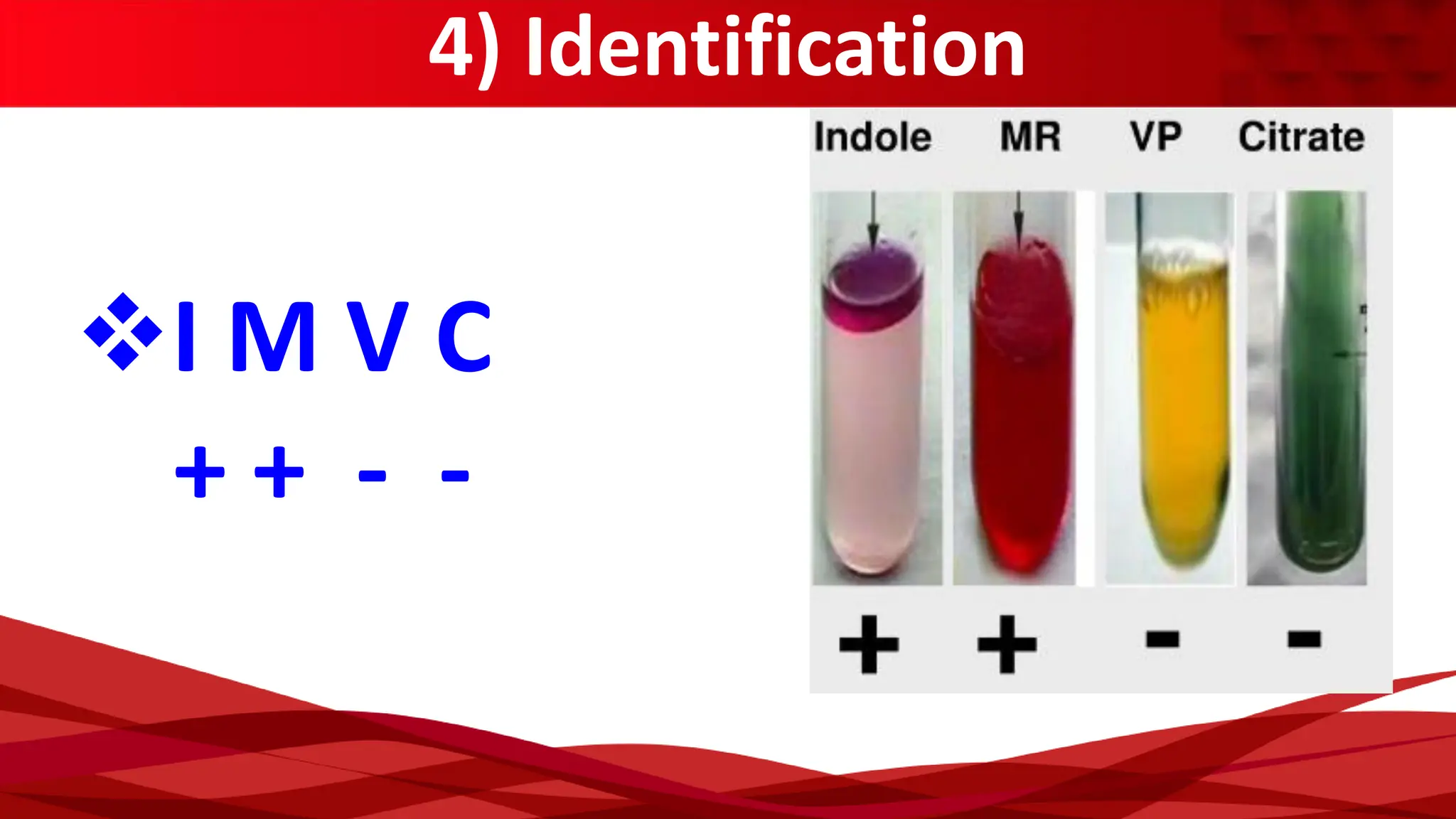 4) Identification
❖I M V C
+ + - -
 