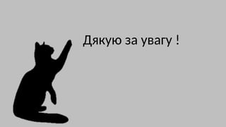 Дякую за увагу !
 