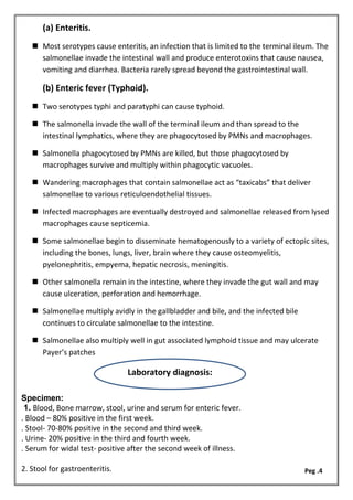 (a) Enteritis.
 Most serotypes cause enteritis, an infection that is limited to the terminal ileum. The
salmonellae invade the intestinal wall and produce enterotoxins that cause nausea,
vomiting and diarrhea. Bacteria rarely spread beyond the gastrointestinal wall.
(b) Enteric fever (Typhoid).
 Two serotypes typhi and paratyphi can cause typhoid.
 The salmonella invade the wall of the terminal ileum and than spread to the
intestinal lymphatics, where they are phagocytosed by PMNs and macrophages.
 Salmonella phagocytosed by PMNs are killed, but those phagocytosed by
macrophages survive and multiply within phagocytic vacuoles.
 Wandering macrophages that contain salmonellae act as “taxicabs” that deliver
salmonellae to various reticuloendothelial tissues.
 Infected macrophages are eventually destroyed and salmonellae released from lysed
macrophages cause septicemia.
 Some salmonellae begin to disseminate hematogenously to a variety of ectopic sites,
including the bones, lungs, liver, brain where they cause osteomyelitis,
pyelonephritis, empyema, hepatic necrosis, meningitis.
 Other salmonella remain in the intestine, where they invade the gut wall and may
cause ulceration, perforation and hemorrhage.
 Salmonellae multiply avidly in the gallbladder and bile, and the infected bile
continues to circulate salmonellae to the intestine.
 Salmonellae also multiply well in gut associated lymphoid tissue and may ulcerate
Payer’s patches
Specimen:
1. Blood, Bone marrow, stool, urine and serum for enteric fever.
. Blood – 80% positive in the first week.
. Stool- 70-80% positive in the second and third week.
. Urine- 20% positive in the third and fourth week.
. Serum for widal test- positive after the second week of illness.
2. Stool for gastroenteritis.
Laboratory diagnosis:
Peg .4
 