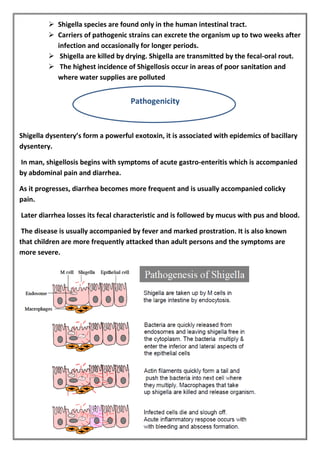  Shigella species are found only in the human intestinal tract.
 Carriers of pathogenic strains can excrete the organism up to two weeks after
infection and occasionally for longer periods.
 Shigella are killed by drying. Shigella are transmitted by the fecal-oral rout.
 The highest incidence of Shigellosis occur in areas of poor sanitation and
where water supplies are polluted
Shigella dysentery’s form a powerful exotoxin, it is associated with epidemics of bacillary
dysentery.
In man, shigellosis begins with symptoms of acute gastro-enteritis which is accompanied
by abdominal pain and diarrhea.
As it progresses, diarrhea becomes more frequent and is usually accompanied colicky
pain.
Later diarrhea losses its fecal characteristic and is followed by mucus with pus and blood.
The disease is usually accompanied by fever and marked prostration. It is also known
that children are more frequently attacked than adult persons and the symptoms are
more severe.
Pathogenicity
 