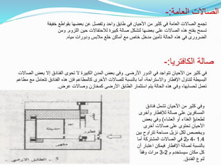 ‫العامة‬ ‫الصاالت‬
:
-
‫بق‬ ‫بعضها‬ ‫عن‬ ‫وتفصل‬ ‫واحد‬ ‫طابق‬ ‫في‬ ‫األحيان‬ ‫من‬ ‫كثير‬ ‫في‬ ‫العامة‬ ‫الصاالت‬ ‫تجمع‬
‫خفيفة‬ ‫واطع‬
‫الل‬ ‫حين‬ ‫لالحتفاالت‬ ‫كبيرة‬ ‫صالة‬ ‫لتشكل‬ ‫بعضها‬ ‫على‬ ‫الصاالت‬ ‫هذه‬ ‫بفتح‬ ‫تسمح‬
‫زوم‬
.
‫ومن‬
‫مياه‬ ‫ودورات‬ ‫مالبس‬ ‫خلع‬ ‫أماكن‬ ‫مع‬ ‫خاص‬ ‫مدخل‬ ‫تأمين‬ ‫الحالة‬ ‫هذه‬ ‫في‬ ‫الضرورى‬
.
‫الكافتريا‬ ‫صالة‬
:
-
‫األرضى‬ ‫الدور‬ ‫في‬ ‫تتواجد‬ ‫األحيان‬ ‫من‬ ‫كثير‬ ‫في‬
.
‫ب‬ ‫إال‬ ‫الفنادق‬ ‫تحوى‬ ‫ال‬ ‫الكبيرة‬ ‫المدن‬ ‫بعض‬ ‫وفى‬
‫الصاالت‬ ‫عض‬
‫تت‬ ‫الفنادق‬ ‫هذه‬ ‫فإن‬ ‫كالمطاعم‬ ‫األخرى‬ ‫للصاالت‬ ‫بالنسبة‬ ‫أما‬ ،‫واالستراحة‬ ‫اإلفطار‬ ‫لتناول‬ ‫البسيطة‬
‫مطاعم‬ ‫مع‬ ‫عامل‬
‫عرض‬ ‫وصاالت‬ ‫كمخازن‬ ‫األرضى‬ ‫الطابق‬ ‫استثمار‬ ‫يتم‬ ‫الحالة‬ ‫هذه‬ ‫وفي‬ ،‫لحسابها‬ ‫تعمل‬
.
‫فنادق‬ ‫تشمل‬ ‫األحيان‬ ‫من‬ ‫كثير‬ ‫وفي‬
‫وأخرى‬ ‫لإلفطار‬ ‫صالة‬ ‫على‬ ‫المسافرين‬
‫لطعام‬
(
‫العشاء‬ ‫أو‬ ‫الغذاء‬
)
‫بعض‬ ‫وفي‬
‫أخرى‬ ‫صاالت‬ ‫على‬ ‫تحتوى‬ ‫األحيان‬
‫ب‬ ‫تتراوح‬ ‫مساحة‬ ‫نزيل‬ ‫لكل‬ ‫ويخصص‬
‫ين‬
1.4
-
4
‫م‬
2
‫أما‬ ‫المشتركة‬ ‫الصاالت‬ ‫في‬
‫اعت‬ ‫فيمكن‬ ‫اإلفطار‬ ‫لصالة‬ ‫بالنسبة‬
‫أن‬ ‫بار‬
‫م‬ ‫سيستخدم‬ ‫مكان‬ ‫كل‬
2
-
3
ً‫ا‬‫وفق‬ ‫مرات‬
‫الفندق‬ ‫لنوع‬
.
 