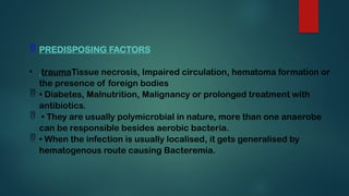 Gram-positive and negative anaerobic bacteria | PPTX