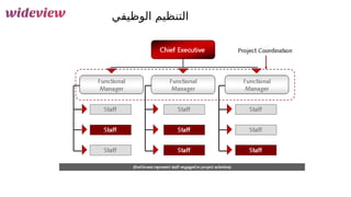 74
‫الوظيفي‬ ‫التنظيم‬
 