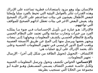 ‫اإلدراك‬ ‫على‬ ‫تساعده‬ ‫فطرية‬ ‫باستعدادات‬ ‫مزود‬ ‫وهو‬ ‫يولد‬ ‫فاإلنسان‬
‫وإيجابا‬ ‫سلبا‬ ‫بالفرد‬ ‫تحيط‬ ‫التي‬ ‫البيئية‬ ‫بالعوامل‬ ‫تتأثر‬ ‫القدرات‬ ‫وهذه‬
‫الصحيح‬ ‫االدراك‬ ‫على‬ ‫تساعدهم‬ ‫بيئات‬ ‫في‬ ‫يعيشون‬ ‫األطفال‬ ‫فبعض‬
‫للمواقف‬ ‫الصحيح‬ ‫ادائهم‬ ‫تعطل‬ ‫بيئات‬ ‫في‬ ‫االخر‬ ‫البعض‬ ‫يعيش‬ ‫وقد‬
.‫تواجههم‬ ‫التي‬
:
‫ه‬ ‫يملك‬ ‫ا‬ ‫م‬ ‫ضوء‬ ‫ي‬ ‫ف‬ ‫اسات‬ ‫اإلحس‬ ‫ل‬ ‫تأوي‬ ‫ن‬ ‫ع‬ ‫عبارة‬ ‫و‬ ‫ه‬ ‫فاإلدراك‬
‫الحسي‬ ‫النظام‬ ‫على‬ ‫تعتمد‬ ‫والتي‬ ‫سابقة‬ ‫وتجارب‬ ‫خبرات‬ ‫من‬ ‫الفرد‬
‫نبضات‬ ‫ى‬ ‫إل‬ ‫ا‬ ‫ويحوله‬ ‫المعلومات‬ ‫ف‬ ‫يكش‬ ‫ي‬ ‫الحس‬ ‫فالنظام‬ ‫خ‬ ‫والم‬
‫العصبية‬ ‫األنسجة‬ ‫طريق‬ ‫عن‬ ‫المخ‬ ‫إلى‬ ‫منها‬ ‫ويرسل‬ ‫بعضها‬ ‫ويجهز‬
‫ى‬‫وعل‬ ‫ية‬‫الحس‬ ‫المعلومات‬ ‫ز‬‫تجهي‬ ‫ي‬‫ف‬ ‫ي‬‫الرئيس‬ ‫الدور‬ ‫خ‬‫الم‬ ‫ب‬‫ويلع‬
:‫هي‬ ‫عملیات‬ ‫اربع‬ ‫على‬ ‫اإلدراك‬ ‫يعتمد‬ ‫ذلك‬
- ) ( -
‫اإلرسال‬ ‫آخر‬ ‫إلى‬ ‫شكل‬ ‫من‬ ‫الطاقة‬ ‫تحويل‬ ‫التحويل‬ ‫االكتشاف‬
. -
‫المعلومات‬ ‫تجهيز‬
:‫اس‬K
‫س‬‫اإلح‬
‫الحسية‬ ‫المعلومات‬ ‫وترسل‬ ‫وتحول‬ ‫تكتشف‬ ‫الحواس‬
‫و‬ ‫أ‬ ‫ة‬ ‫خلي‬ ‫و‬ ‫وه‬ ‫تقبل‬ ‫المس‬ ‫مى‬ ‫يس‬ ‫اكتشاف‬ ‫ر‬ ‫عنص‬ ‫ة‬ ‫حاس‬ ‫ل‬ ‫ولك‬
‫بطريقة‬ ‫تستجيب‬ ‫التي‬ ‫الخاليا‬ ‫من‬ ‫مجموعة‬
 