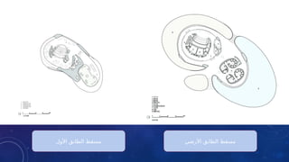 ‫األول‬ ‫الطابق‬ ‫مسقط‬ ‫األرضي‬ ‫الطابق‬ ‫مسقط‬
 