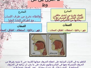 ‫ض‬ ‫بين‬ ‫الفرق‬ ‫ما‬
‫وظ‬
‫من‬ ‫بغيرها‬ ‫تشتبه‬ ‫ال‬ ‫حتى‬ ‫الالزمة‬ ‫صفاتها‬ ‫الحروف‬ ‫اعطاء‬ ‫على‬ ‫السابقة‬ ‫االبيات‬ ‫في‬ ‫نبه‬ ‫الناظم‬
‫الحروف‬ ‫في‬ ‫نراعيه‬ ‫ان‬ ‫يجب‬ ‫ما‬ ‫على‬ ‫نتعرف‬ ‫واليوم‬ ‫المخرح‬ ‫في‬ ‫معها‬ ‫المشتركة‬ ‫الحروف‬
‫الصفات‬
- ‫اصمات‬ -‫اطباق‬ - ‫استعالء‬ - ‫رخاوة‬ - ‫جهر‬
‫استطالة‬
‫الصفات‬
‫اصمات‬ -‫اطباق‬ - ‫استعالء‬ - ‫رخاوة‬ - ‫جهر‬
‫المخرج‬
‫حافتي‬ ‫احدى‬ ‫من‬ ‫تخرج‬ ‫الضاد‬
‫ما‬ ‫مع‬ ‫اليسرى‬ ‫او‬ ‫اليمنى‬ ‫اللسان‬
‫العليا‬ ‫األضراس‬ ‫من‬ ‫يحاذيها‬.
‫المخرج‬
‫اللسان‬ ‫طرف‬ ‫من‬ ‫تخرج‬ ‫والظاء‬
‫العليا‬ ‫الثنايا‬ ‫اطراف‬ ‫مع‬ .
 