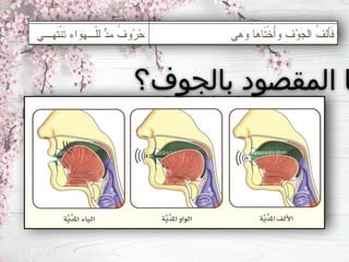 ‫بالجوف؟‬ ‫المقصود‬ ‫ا‬
 