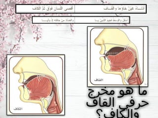 ‫مخرج‬ ‫هو‬ ‫ما‬
‫القاف‬ ‫حرفي‬
 