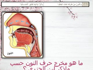 ‫حسب‬ ‫النون‬ ‫حرف‬ ‫مخرج‬ ‫هو‬ ‫ما‬
 