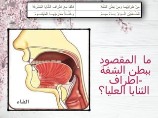 ‫المقصود‬ ‫ما‬
‫الشفة‬ ‫ببطن‬
‫اطراف‬-
‫العليا؟‬ ‫الثنايا‬
 