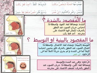 ‫؟‬ ‫بالشدة‬ ‫المقصود‬ ‫ما‬
‫والتوسط‬ ‫الشدة‬ ‫ضد‬ ‫وهي‬ :‫ِّخاوة‬‫ر‬‫ال‬.
‫عند‬ ‫الصوت‬ ‫جريان‬ :‫ًا‬‫ح‬‫واصطال‬ .‫ِّين‬‫ل‬‫ال‬ :‫لغة‬ ‫ومعناها‬
‫مخرجه‬ ‫على‬ ‫االعتماد‬ ‫لضعف‬ ‫بالحرف؛‬ ‫النطق‬.
:‫ًا‬‫ح‬‫واصطال‬ .‫القوة‬ :‫لغة‬ ‫ومعناها‬ :‫ِّدة‬‫ش‬‫ال‬
‫النطق‬ ‫عند‬ ‫الصوت‬ ‫جريان‬ ‫انحباس‬
‫على‬ ‫االعتماد‬ ‫قوة‬ ‫لكمال‬ ‫بالحرف؛‬
‫بكت‬ ‫قط‬ ‫أجد‬ .‫مخرجه‬
:‫ًا‬‫ح‬‫واصطال‬ .‫االعتدال‬ :‫لغة‬ ‫ومعناه‬ :)‫َّة‬‫ي‬ِ‫ن‬‫َي‬‫ب‬‫(ال‬ ‫ُّط‬‫س‬َ‫و‬َّ‫ت‬‫ال‬
‫انحباسا‬ ‫ينحبس‬ ‫فلم‬ ‫بالحرف‬ ‫النطق‬ ‫عند‬ ‫الصوت‬ ‫اعتدال‬
‫في‬ ‫كما‬ ً‫كامال‬ ‫جريانًا‬ ‫يجري‬ ‫لم‬ ‫و‬ ‫الشدة‬ ‫في‬ ‫كما‬ ً‫كامال‬
.‫ِّخاوة‬‫ر‬‫ال‬
‫عمر‬ ‫لن‬
‫؟‬ ‫التوسط‬ ‫او‬ ‫بالبينية‬ ‫المقصود‬ ‫ما‬
 