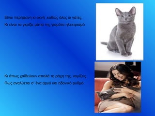 Είναι περήφανη κι οκνή ,καθώς όλες οι γάτες,
Κι είναι τα γκρίζα μάτια της γιομάτα ηλεκτρισμό
Κι όπως χαϊδεύουν απαλά τη ράχη της, νομίζεις
Πως αναλύεται σ’ ένα αργό και ηδονικό ρυθμό.
 