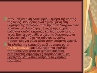 Στην Τσεχία η 4η Δεκεμβρίου, ημέρα της εορτής
της Αγίας Βαρβάρας είναι αφιερωμένη στη
μάρτυρα της περιόδου των πρώτων διωγμών των
Χριστιανών. Από άκρη σε άκρη της Χώρας
κόβονται κλαδιά κερασιάς και διατηρούνται στο
νερό. Εάν έχουν ανθίσει μέχρι τα Χριστούγεννα
φέρνουν καλή τύχη και πιθανόν ευνοϊκές
προοπτικές για γάμο μέσα στην επόμενη χρονιά.
Τα κλαδιά της κερασιάς μαζί με μικρά φυτά
Αλεξανδριανών και άλλα γιορτινά στολίδια
τοποθετούνται μέσα σε ψάθινα καλάθια,
συνθέτοντας δημιουργίες παραδοσιακού και
μοντέρνου στυλ που κοσμούν το γιορτινό
τραπέζα !
 