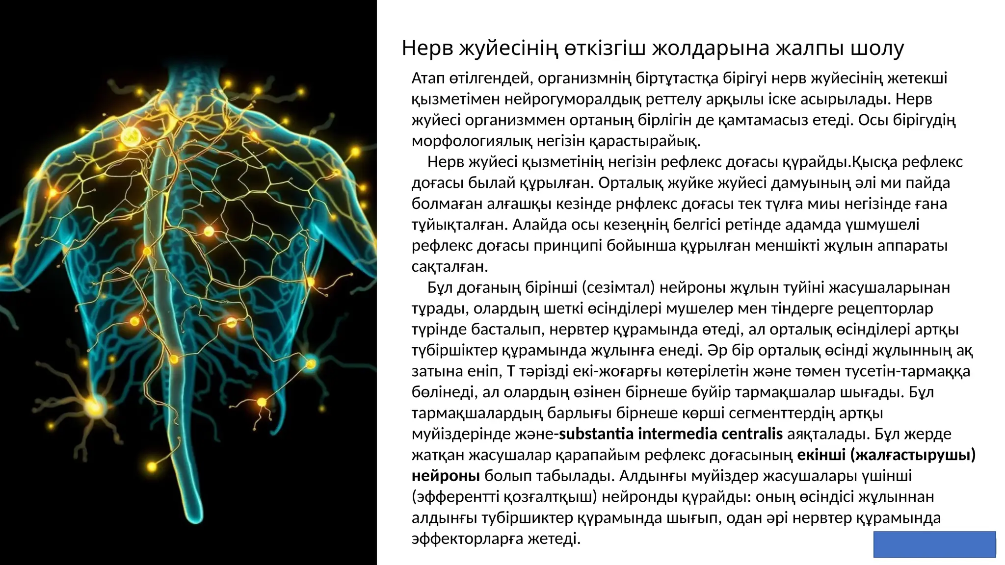 Полиция формасындағы порно қыздар