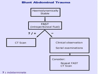 trauma ultrasound - fast and e fast ultrasound | PPT