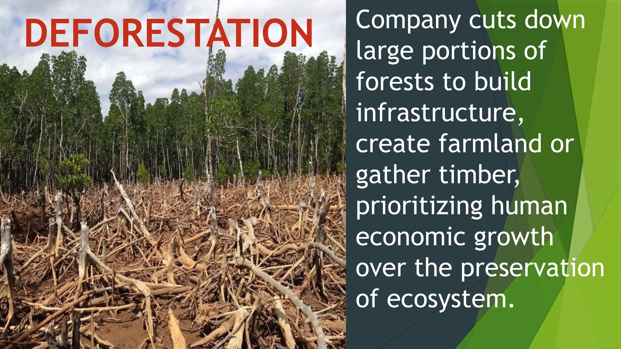 Company cuts down
large portions of
forests to build
infrastructure,
create farmland or
gather timber,
prioritizing human
economic growth
over the preservation
of ecosystem.
DEFORESTATION
 