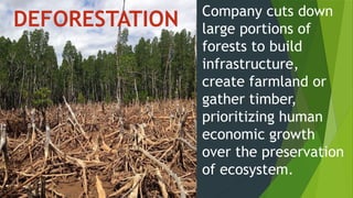 Company cuts down
large portions of
forests to build
infrastructure,
create farmland or
gather timber,
prioritizing human
economic growth
over the preservation
of ecosystem.
DEFORESTATION
 