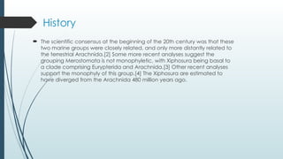 Bascal Clade Merostomata is a class of chelicerate arthropods that 000000 | PPTX