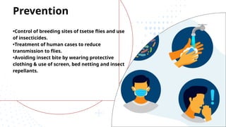 •Control of breeding sites of tsetse flies and use
of insecticides.
•Treatment of human cases to reduce
transmission to flies.
•Avoiding insect bite by wearing protective
clothing & use of screen, bed netting and insect
repellants.
Prevention
 