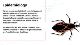 Epidemiology
T.cruzi occurs widely in both reduviid bugs and
a broad spectrum of reservoir animals in
North, Central, and South America. Human
disease is found most often among children in
South and Central America, where there is
direct correlation
between infected wild animal reservoir hosts
and the presence of infected bugs whose nests
are found in human dwellings.
 