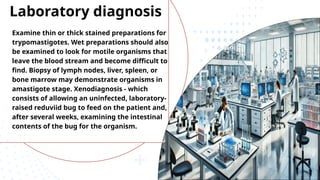 Examine thin or thick stained preparations for
trypomastigotes. Wet preparations should also
be examined to look for motile organisms that
leave the blood stream and become difficult to
find. Biopsy of lymph nodes, liver, spleen, or
bone marrow may demonstrate organisms in
amastigote stage. Xenodiagnosis - which
consists of allowing an uninfected, laboratory-
raised reduviid bug to feed on the patient and,
after several weeks, examining the intestinal
contents of the bug for the organism.
Laboratory diagnosis
 