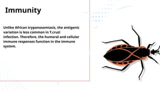 Immunity
Unlike African trypanosomiasis, the antigenic
variation is less common in T.cruzi
infection. Therefore, the humoral and cellular
immune responses function in the immune
system.
 