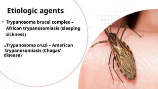 • Trypanosoma brucei complex –
African trypanosomiasis (sleeping
sickness)
.Trypanosoma cruzi – American
trypanosomiasis (Chagas’
disease)
Etiologic agents
 