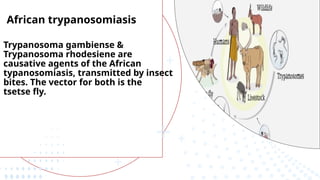 African trypanosomiasis
Trypanosoma gambiense &
Trypanosoma rhodesiene are
causative agents of the African
typanosomiasis, transmitted by insect
bites. The vector for both is the
tsetse fly.
 