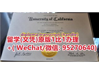 University of California, Santa Barbara degree offer diploma Transcript ...