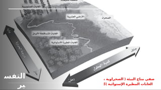 (
، ‫الصحراوية‬ ‫البيئة‬ ‫مناخ‬ ‫صفي‬
)
k
‫؟‬ ‫اإلستوائية‬ ‫المطيرة‬ ‫الغابات‬
‫التفس‬
‫ير‬
 