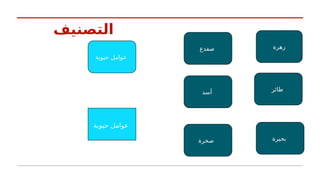 ‫التصنيف‬
‫حيوية‬ ‫عوامل‬
‫حيوية‬ ‫عوامل‬
‫أسد‬
‫ضفدع‬
‫بحيرة‬
‫طائر‬
‫زهرة‬
‫صخرة‬
 