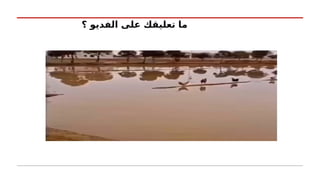 ‫؟‬ ‫الفديو‬ ‫على‬ ‫تعليقك‬ ‫ما‬
 