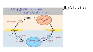 ‫االجيال‬ ‫تعاقب‬
 