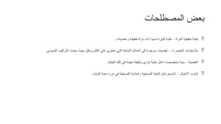 ‫المصطلحات‬ ‫بعض‬

‫وعضيات‬ ‫حقيقية‬ ‫نواة‬ ‫ذات‬ ‫ا‬ً
‫ي‬‫نسب‬ ‫كبيرة‬ ‫خلية‬ – ‫النواة‬ ‫حقيقية‬ ‫خلية‬
.

‫الضوئي‬ ‫التركيب‬ ‫يحدث‬ ‫حيث‬ ‫الكلوروفيل‬ ‫على‬ ‫تحتوي‬ ‫التي‬ ‫النباتية‬ ‫الخاليا‬ ‫في‬ ‫موجودة‬ ‫ضيات‬ ُ
‫ع‬ – ‫الخضراء‬ ‫بالستيدات‬
.

‫الخلية‬ ‫تلك‬ ‫في‬ ‫معينة‬ ‫وظيفة‬ ‫تؤدي‬ ‫خلية‬ ‫داخل‬ ‫متخصصة‬ ‫بنية‬ – ‫العضية‬
.

‫النبات‬ ‫حياة‬ ‫دورة‬ ‫في‬ ‫الصبغية‬ ‫وأحادية‬ ‫الصبغية‬ ‫ثنائية‬ ‫تناوبمراحل‬ – ‫األجيال‬ ‫تناوب‬
.
 