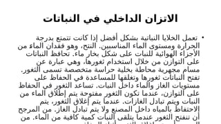 ‫النباتات‬ ‫في‬ ‫الداخلي‬ ‫االتزان‬
•
‫بدرجة‬ ‫تتمتع‬ ‫كانت‬ ‫إذا‬ ‫أفضل‬ ‫بشكل‬ ‫النباتية‬ ‫الخاليا‬ ‫تعمل‬
.
‫من‬ !
‫ء‬‫الما‬ ‫فقدان‬ ‫وهو‬ ،‫النتح‬ ‫المناسبين‬ ‫الماء‬ ‫ومستوى‬ ‫الحرارة‬
.
‫النباتات‬ ‫تحافظ‬ ‫ماء‬ ‫بخار‬ ‫شكل‬ ‫على‬ ‫للنبات‬ ‫الهوائية‬ ‫األجزاء‬
‫عن‬ ‫عبارة‬ ‫وهي‬ ،‫ثغورها‬ ‫استخدام‬ ‫خالل‬ ‫من‬ ‫التوازن‬ ‫على‬
.‫الثغور‬ ‫تسمى‬ ‫متخصصة‬ ‫حراسة‬ ‫بخلية‬ ‫محاطة‬ ‫مجهرية‬ ‫مسام‬
‫على‬ ‫الحفاظ‬ ‫في‬ ‫للمساعدة‬ ‫وتغلقها‬ ‫ثغورها‬ ‫النباتات‬ ‫تفتح‬
.
‫الحفاظ‬ ‫في‬ ‫الثغور‬ ‫تساعد‬ ‫النبات‬ ‫داخل‬ ‫والماء‬ ‫الغاز‬ ‫مستويات‬
‫من‬ ‫الماء‬ ‫إطالق‬ ‫يتم‬ ‫مفتوحة‬ ‫الثغور‬ ‫تكون‬ ‫عندما‬ ،‫التوازن‬ ‫على‬
.
‫يتم‬ ،‫الثغور‬ ‫إغالق‬ ‫يتم‬ ‫عندما‬ ‫الغازات‬ ‫تبادل‬ ‫ويتم‬ ‫النبات‬
.
‫المرجح‬ ‫من‬ ‫الغاز‬ ‫تبادل‬ ‫يتم‬ ‫وال‬ ‫المصنع‬ ‫داخل‬ ‫بالمياه‬ ‫االحتفاظ‬
.
‫من‬ ‫الماء‬ ‫من‬ ‫كافية‬ ‫كمية‬ ‫النبات‬ ‫يتلقى‬ ‫عندما‬ ‫الثغور‬ ‫تنفتح‬ ‫أن‬
 