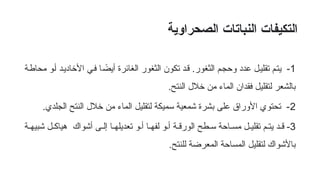 ‫الصحراوية‬ ‫النباتات‬ ‫التكيفات‬
1
-
‫ة‬f‫ط‬‫محا‬ ‫و‬f‫أ‬ ‫د‬f‫ي‬‫األخاد‬ ‫ي‬f‫ف‬ ‫ا‬ fً
‫أيض‬ ‫الغائرة‬ ‫الثغور‬ ‫تكون‬ ‫د‬f‫ق‬ .‫الثغور‬ ‫م‬f‫ج‬‫وح‬ ‫عدد‬ ‫ل‬f‫ي‬‫تقل‬ ‫م‬f‫ت‬‫ي‬
.‫النتح‬ ‫خالل‬ ‫من‬ ‫الماء‬ ‫فقدان‬ ‫لتقليل‬ ‫بالشعر‬
2
.‫الجلدي‬ ‫النتح‬ ‫خالل‬ ‫من‬ ‫الماء‬ ‫لتقليل‬ ‫سميكة‬ ‫شمعية‬ ‫بشرة‬ ‫على‬ ‫األوراق‬ ‫تحتوي‬ -
3
‫ة‬f‫شبيه‬ ‫ل‬f‫هياك‬ ‫أشواك‬ ‫ى‬f‫إل‬ ‫ا‬f‫تعديله‬ ‫و‬f‫أ‬ ‫ا‬f‫لفه‬ ‫و‬f‫أ‬ ‫ة‬f‫الورق‬ ‫طح‬f‫س‬ ‫احة‬f‫مس‬ ‫ل‬f‫تقلي‬ ‫م‬f‫يت‬ ‫د‬f‫ق‬ -
.‫للنتح‬ ‫المعرضة‬ ‫المساحة‬ ‫لتقليل‬ ‫باألشواك‬
 