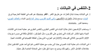 2
‫ا‬-
: ‫النباتات‬ ‫في‬ ‫لتنفس‬
.1
: ‫ر‬6‫غ‬‫الث‬ ‫ق‬6‫طري‬ ‫ن‬6‫ع‬ ‫للغازات‬ ‫تبادل‬ ‫يحدث‬ ‫النباتات‬ ‫ي‬6‫ف‬
‫ر‬‫الثغ‬
Stoma
‫لورق‬ ‫ة‬6‫الخارجي‬ ‫ة‬6‫الطبق‬ ‫ي‬6‫ف‬ ‫ب‬6‫ثق‬ ‫و‬6‫ه‬ ،
‫النبات‬
( ‫بتبادل‬ ‫مح‬6‫س‬‫ي‬ ،
‫الغازات‬
(
‫األكسجين‬
‫الكربون‬ ‫أكسيد‬ ‫وثاني‬
‫الماء‬ ‫وبخار‬
)
‫النبات‬ ‫ن‬6‫ي‬‫ب‬
‫الجوي‬ ‫والغالف‬
،
‫ثغور‬ ‫وجمعها‬
.
stomata
•
‫و‬ ‫الخلوي‬ ‫س‬6‫التنف‬ ‫ي‬6‫ف‬ ‫النبات‬ ‫ا‬6‫خالي‬ ‫ل‬6‫داخ‬ ‫جين‬6‫األوكس‬ ‫تخدم‬6‫ويس‬
‫الكائنات‬ ‫ي‬6‫ف‬ ‫تحدث‬ ‫ة‬6‫عملي‬ ‫و‬6‫ه‬ ‫الخلوي‬ ‫س‬6‫التنف‬
‫جزيئات‬ ‫ورة‬6‫ص‬ ‫ي‬6‫ف‬ ‫ة‬6‫ق‬‫طا‬ ‫إلطالق‬ ،‫الجلوكوز‬ ‫ل‬6‫ث‬‫م‬ ،‫الكربون‬ ‫ى‬6‫ل‬‫ع‬ ‫تحتوي‬ ‫ي‬6‫ت‬‫ال‬ ‫المركبات‬ ‫ر‬ َّ
6‫س‬‫تتك‬ ‫ا‬6‫ه‬‫وفي‬ ‫ة؛‬6‫ي‬‫الح‬
ATP
.
‫الفوسفات‬ ‫الثالثي‬ ‫األدينوسين‬
(
ATP
)
‫الحية‬ ‫الكائنات‬ ‫في‬ ‫الكيميائية‬ ‫الطاقة‬ ‫ن‬ِّ
‫يخز‬ ‫الذي‬ ‫الجزيء‬ ‫هو‬
.
•
‫ل‬6‫تمث‬ ‫ن‬6‫التفاعلي‬ ‫ن‬6‫هذي‬ ‫د‬6‫أح‬ ‫ج‬6‫فنوات‬ .6‫التنفس‬ ‫ة‬6‫عملي‬ ‫ع‬6‫م‬ ‫ب‬6‫جن‬ ‫ى‬6‫إل‬ ‫ا‬6ً
‫ب‬‫جن‬ ‫ي‬6‫الضوئ‬ ‫البناء‬ ‫ة‬6‫عملي‬ ‫م‬6‫تت‬ ،‫النباتات‬ ‫ي‬6‫ف‬
‫عملية‬ ‫بكل‬ ‫الخاصة‬ ‫المعادلة‬ ‫على‬ ‫نظرة‬ ِ
‫نلق‬ ‫دعونا‬ ،‫بوضوح‬ ‫ذلك‬ ‫ولفهم‬ .‫اآلخر‬ ‫التفاعل‬ ‫متفاعالت‬
.
 