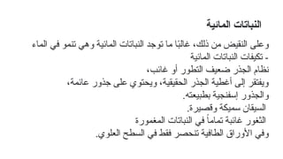 ‫المائية‬ ‫النباتات‬
‫الماء‬ ‫في‬ ‫تنمو‬ ‫وهي‬ ‫المائية‬ ‫النباتات‬ ‫توجد‬ ‫ما‬ ‫ا‬ً
‫ب‬‫غال‬ ،‫ذلك‬ ‫من‬ ‫النقيض‬ ‫وعلى‬
‫المائية‬ ‫النباتات‬ ‫تكيفات‬ -
،‫غائب‬ ‫أو‬ ‫التطور‬ ‫ضعيف‬ ‫الجذر‬ ‫نظام‬
،‫عائمة‬ ‫جذور‬ ‫على‬ ‫ويحتوي‬ ،‫الحقيقية‬ ‫الجذر‬ ‫أغطية‬ ‫إلى‬ ‫ويفتقر‬
.‫بطبيعته‬ ‫إسفنجية‬ ‫والجذور‬
.‫وقصيرة‬ ‫سميكة‬ ‫السيقان‬
‫المغمورة‬ ‫النباتات‬ ‫في‬ ً‫ا‬‫تمام‬ ‫غائبة‬ ‫الثغور‬
.‫العلوي‬ ‫السطح‬ ‫في‬ ‫فقط‬ ‫تنحصر‬ ‫الطافية‬ ‫األوراق‬ ‫وفي‬
 