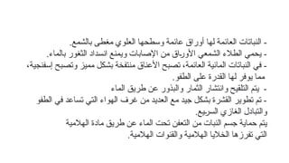 -
.‫بالشمع‬ ‫مغطى‬ ‫العلوي‬ ‫وسطحها‬ ‫عائمة‬ ‫أوراق‬ ‫لها‬ ‫العائمة‬ ‫النباتات‬
.‫بالماء‬ ‫الثغور‬ ‫انسداد‬ ‫ويمنع‬ ‫اإلصابات‬ ‫من‬ ‫اق‬6
‫ر‬‫األو‬ ‫الشمعي‬ ‫الطالء‬ ‫يحمي‬ -
،‫إسفنجية‬ ‫وتصبح‬ ‫مميز‬ ‫بشكل‬ ‫منتفخة‬ ‫األعناق‬ ‫تصبح‬ ،‫العائمة‬ ‫المائية‬ ‫النباتات‬ ‫في‬ -
.‫الطفو‬ ‫على‬ ‫القدرة‬ ‫لها‬ ‫يوفر‬ ‫مما‬
‫الماء‬ ‫طريق‬ ‫عن‬ ‫والبذور‬ ‫الثمار‬ ‫وانتشار‬ ‫التلقيح‬ ‫يتم‬ -
‫الطفو‬ ‫في‬ ‫تساعد‬ ‫التي‬ ‫الهواء‬ ‫غرف‬ ‫من‬ ‫العديد‬ ‫مع‬ ‫جيد‬ ‫بشكل‬ ‫القشرة‬ ‫تطوير‬ ‫تم‬ -
.‫يع‬6
‫ر‬‫الس‬ ‫الغازي‬ ‫والتبادل‬
‫الهالمية‬ ‫مادة‬ ‫طريق‬ ‫عن‬ ‫الماء‬ ‫تحت‬ ‫التعفن‬ ‫من‬ ‫النبات‬ ‫جسم‬ ‫حماية‬ ‫يتم‬
.‫الهالمية‬ ‫والقنوات‬ ‫الهالمية‬ ‫الخاليا‬ ‫تفرزها‬ ‫التي‬
 