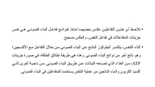 •
‫س‬66‫نف‬ ‫ي‬66‫ه‬ ‫ي‬66‫الضوئ‬ ‫البناء‬ ‫ل‬66‫تفاع‬ ‫ج‬66‫فنوات‬ .‫ا‬ً
‫م‬‫تما‬ ‫ا‬66‫بعضهم‬ ‫س‬66‫عك‬ ‫ن‬66‫التفاعلي‬ ‫ن‬66‫هذي‬ ‫ن‬66‫أ‬ ‫ظ‬66‫تالح‬
‫صحيح‬ ‫والعكس‬ ،‫التنفس‬ ‫تفاعل‬ ‫في‬ ‫المتفاعالت‬ ‫جزيئات‬
.
•
‫جين؛‬6‫األكس‬ ‫ع‬6‫م‬ ‫ل‬6‫التفاع‬ ‫خالل‬ ‫ن‬6‫م‬ ‫ي‬6‫الضوئ‬ ‫البناء‬ ‫ن‬6‫ع‬ ‫ج‬6‫النات‬ ‫الجلوكوز‬ ‫ر‬6‫يتكس‬ ،‫س‬6‫التنف‬ ‫أثناء‬
‫جزيئات‬ ‫ورة‬6‫ص‬ ‫ي‬6‫ف‬ ،‫ة‬6‫ق‬‫الطا‬ ‫إطالق‬ ‫ة‬6‫ق‬‫طري‬ ‫ي‬6‫ه‬ ‫وهذه‬ .‫الضوئي‬ ‫البناء‬ ‫ج‬6‫ت‬‫نوا‬ ‫ن‬6‫م‬ ‫ر‬6‫خ‬‫آ‬ ‫ج‬6‫ت‬‫نا‬ ‫و‬6‫ه‬‫و‬
ATP
‫ي‬66‫ثان‬ ‫أخرى‬ ‫ة‬66‫ناحي‬ ‫ن‬66‫م‬ .‫الضوئي‬ ‫البناء‬ ‫ق‬66‫طري‬ ‫ن‬66‫ع‬ ‫النباتات‬ ‫نعه‬66‫تص‬ ‫الذي‬ ‫الغذاء‬ ‫ن‬66‫م‬ ،
.‫الضوئي‬ ‫البناء‬ ‫في‬ ‫كمتفاعلين‬ ‫يستخدما‬ ‫التنفس‬ ‫عملية‬ ‫من‬ ‫الناتجين‬ ‫والماء‬ ‫الكربون‬ ‫أكسيد‬
 