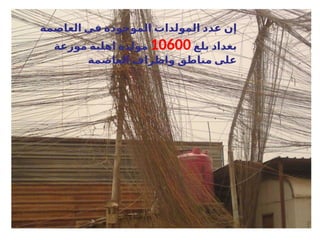 ‫إن‬
‫العاصمة‬ ‫في‬ ‫الموجودة‬ ‫المولدات‬ ‫عدد‬
‫بلغ‬ ‫بغداد‬
10600
‫موزعة‬ ‫اهلية‬ ‫مولدة‬
‫العاصمة‬ ‫واطراف‬ ‫مناطق‬ ‫على‬
 