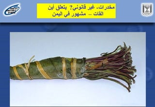 ‫مخدرات‬
-
‫قانوني‬ ‫غير‬
?
‫أين‬ ‫يتعلق‬
‫القات‬
–
‫اليمن‬ ‫في‬ ‫مشهور‬
 