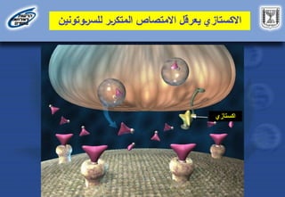 ‫االكستازي‬
‫يعرقل‬
‫االمتصاص‬
‫ر‬D‫ر‬‫المتك‬
‫وتونين‬D‫ر‬‫للس‬
‫اكستازي‬
 