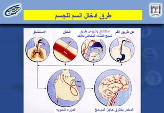‫للجسم‬ ‫السم‬ ‫ادخال‬ ‫طرق‬
‫الفم‬ ‫طريق‬ ‫عن‬
‫طريق‬ ‫(شم)عن‬ ‫استنشاق‬
‫لالنف‬ ‫المخاطي‬ ‫الغشاء‬ ‫نسيج‬
‫الحقن‬
‫االستنشاق‬
‫الدمويه‬ ‫الدوره‬ ‫مخ‬-‫الدم‬ ‫حاجز‬ ‫يخترق‬ ‫المخدر‬
 